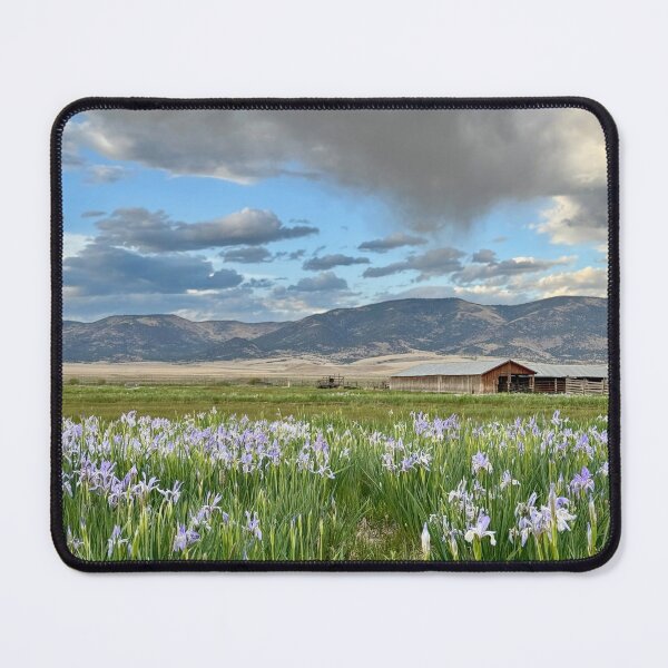 Item preview, Iris and Barn in Spring designed and sold by UmaJ.