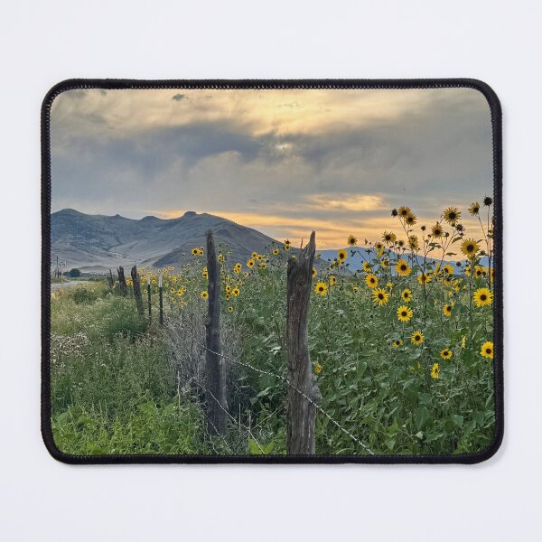 Item preview, Sunflower Summer designed and sold by UmaJ.