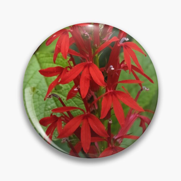 Item preview, Leaves of Red designed and sold by Tim Dusenberry.