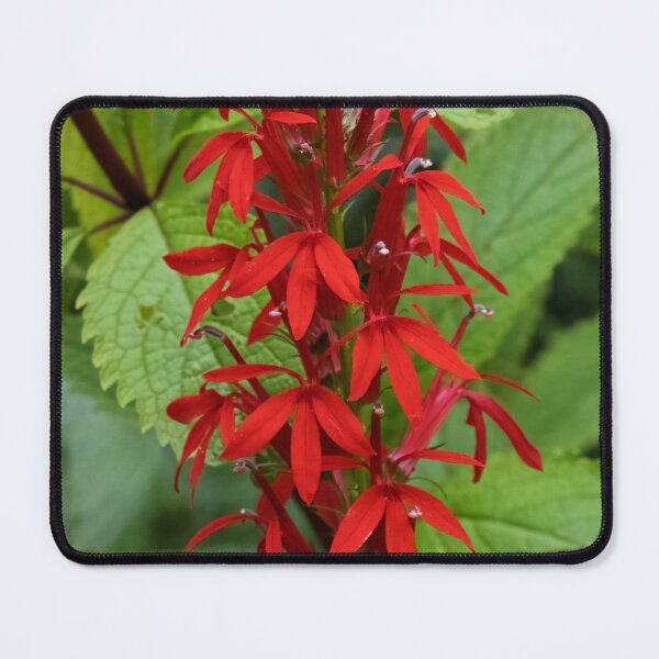 Item preview, Leaves of Red designed and sold by Tim Dusenberry.
