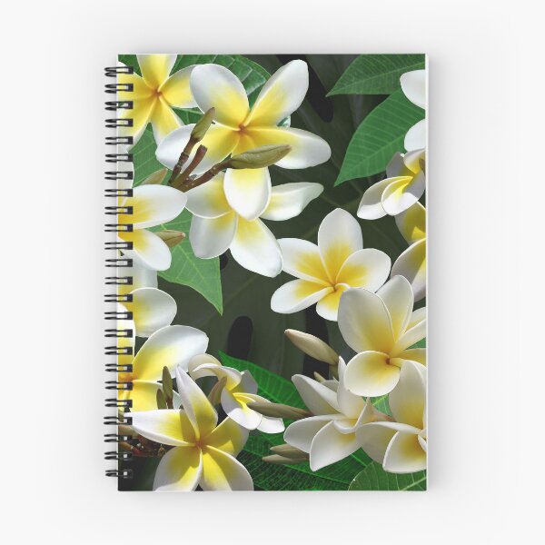 Artikelvorschau, Plumeria Blumen entworfen und verkauft von MoodyMuseArt.