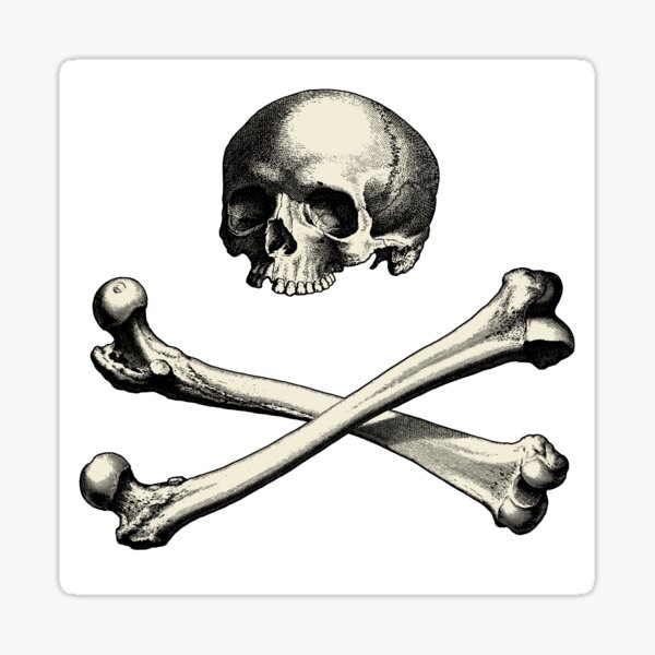 Item preview, Skull and Crossbones designed and sold by Reethes.