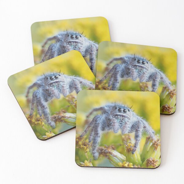 Item preview, Jumping Spider Phidippus purpuratus designed and sold by John Reaume.