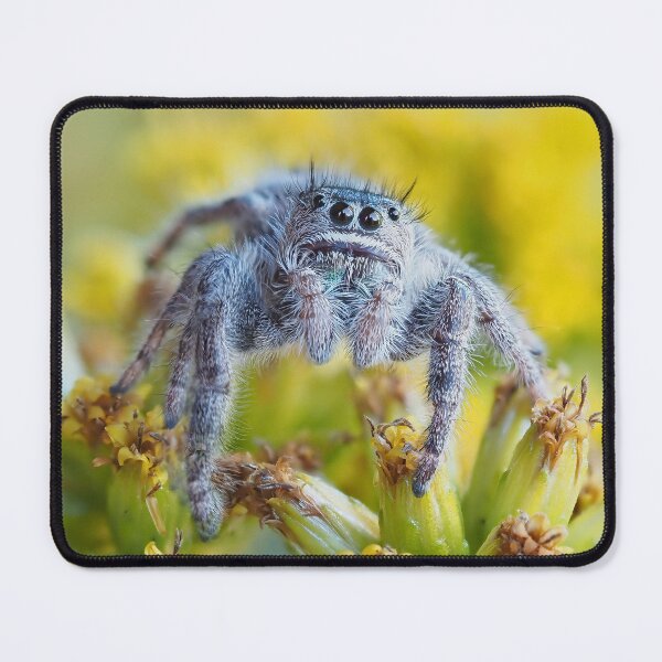 Item preview, Jumping Spider Phidippus purpuratus designed and sold by John Reaume.
