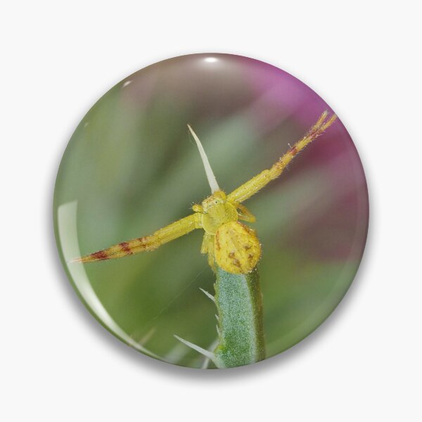 Item preview, Northern Crab Spider designed and sold by John Reaume.
