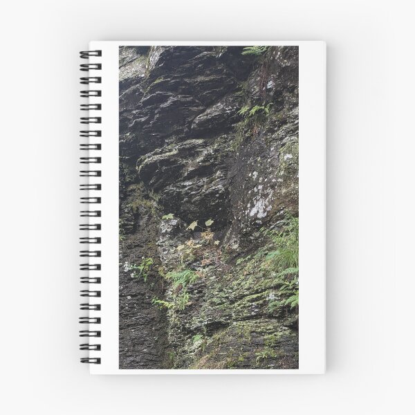 Item preview, Cuando designed and sold by BLAStudio.