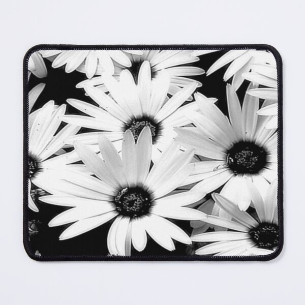 Item preview, BW Osteospermum – Minimalist Botanical Fine Art designed and sold by SL Timeless Moments .