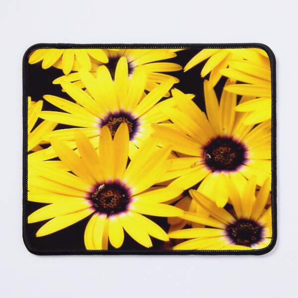 Item preview, Up Close Yellow Osteospermum – Radiant Botanical Fine Art designed and sold by SL Timeless Moments .