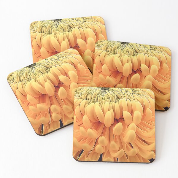 Item preview, Macro Yellow Pompon Chrysanthemum – Radiant Botanical Fine Art designed and sold by SL Timeless Moments .