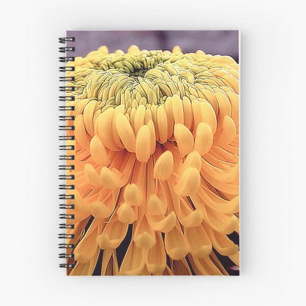 Item preview, Macro Yellow Pompon Chrysanthemum – Radiant Botanical Fine Art designed and sold by SL Timeless Moments .