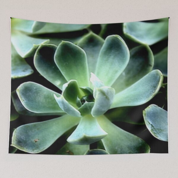 Item preview, Macro Green Succulent – Minimalist Botanical Fine Art designed and sold by SL Timeless Moments .