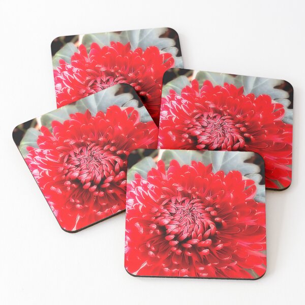 Item preview, Macro Red Pompon Chrysanthemum – Bold Botanical Fine Art designed and sold by SL Timeless Moments .