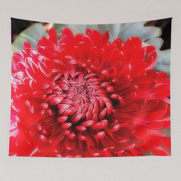 Item preview, Macro Red Pompon Chrysanthemum – Bold Botanical Fine Art designed and sold by SL Timeless Moments .