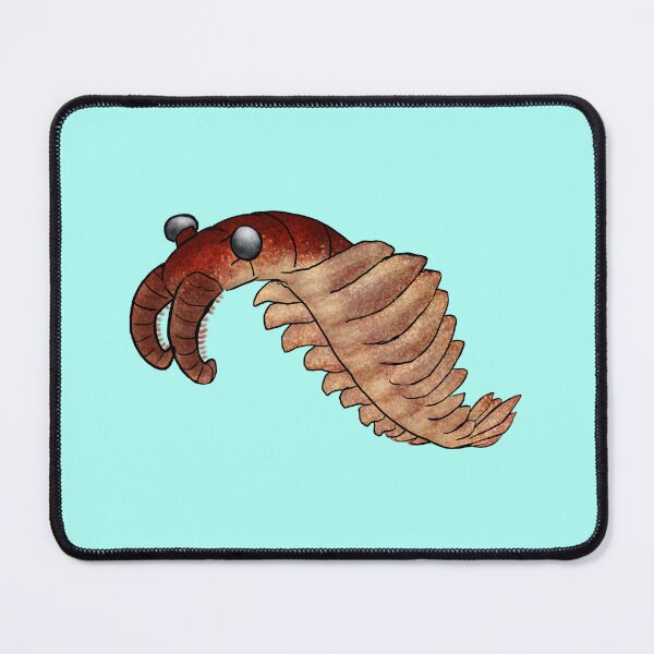 Item preview, Anomalocaris designed and sold by Schweinmithut.