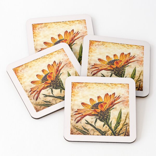 Item preview, Gazania flower in full bloom#4 designed and sold by Helios Be. Lavsh.