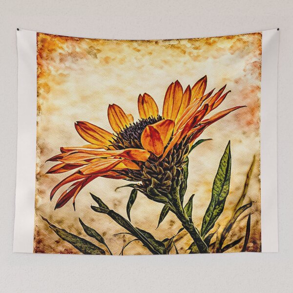 Item preview, Gazania flower in full bloom#4 designed and sold by Helios Be. Lavsh.