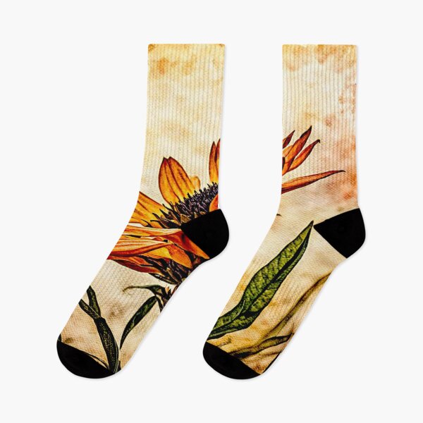 Item preview, Gazania flower in full bloom#4 designed and sold by Helios Be. Lavsh.