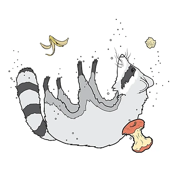 Artwork thumbnail, Falling Racoon by H2HDesign