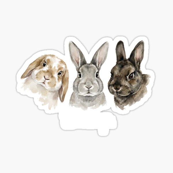 Decorativa Conejos De Pascua Globo Pared Pegatina DIY Niños Conejito