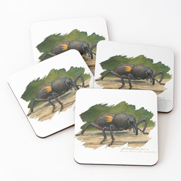 Item preview, Rhyephenes gayi designed and sold by 360-cl.
