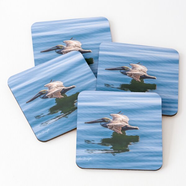 Item preview, Myrtle Beach, SC Gliding Pelican  designed and sold by MBGSL DESIGNS .