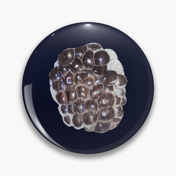 Item preview, Frozen blackberry designed and sold by QueenTropics.