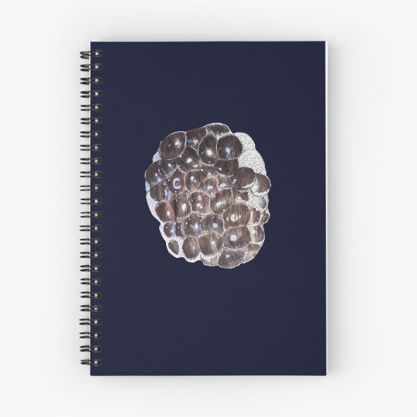 Item preview, Frozen blackberry designed and sold by QueenTropics.
