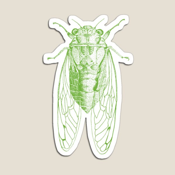 Item preview, Cicada designed and sold by Rich Anderson.
