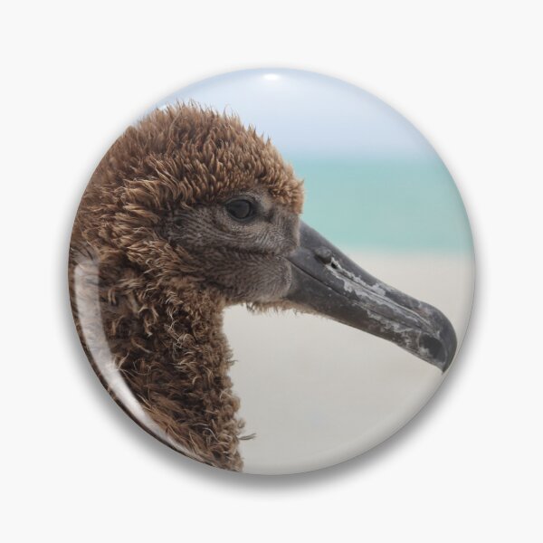 Item preview, ka'upu chick (Black-footed Albatross) designed and sold by milkmobster.