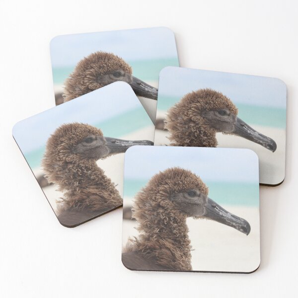 Item preview, ka'upu chick (Black-footed Albatross) designed and sold by milkmobster.