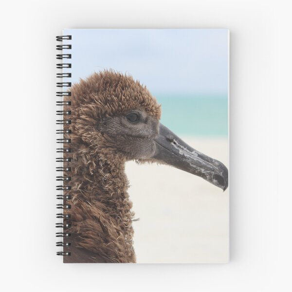 Item preview, ka'upu chick (Black-footed Albatross) designed and sold by milkmobster.