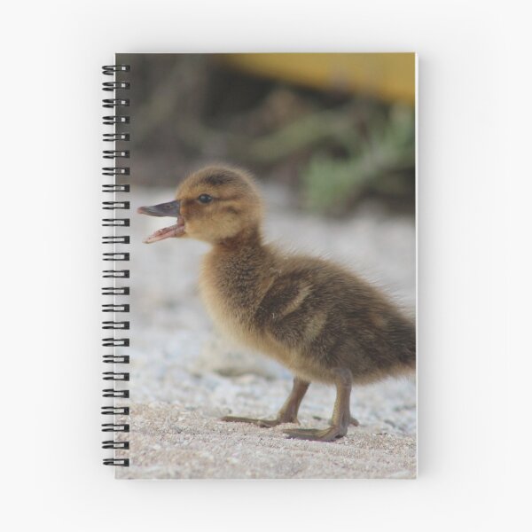 Item preview, Laysan Duck designed and sold by milkmobster.