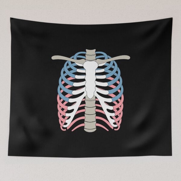 Item preview, Transgender Pride Rib Cage LGBT Skeleton designed and sold by Moxizz.