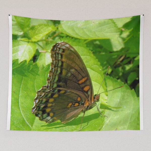 Item preview, Brown Butterfly designed and sold by Bob Hardy.