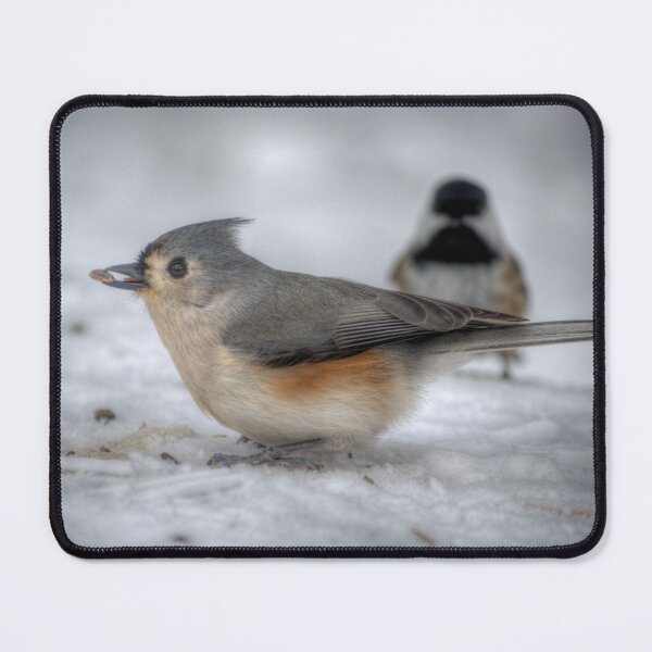Item preview, Snack Time designed and sold by Clairvoyant Studios.