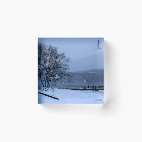 Item preview, Gentle Winter designed and sold by Ronin21dotcom.