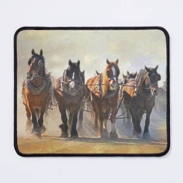 Item preview, Sixty Two in the Crew designed and sold by Trudi's Images.