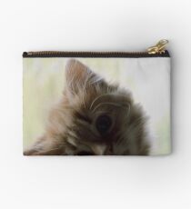 Peekaboo Kitten Studio Pouch