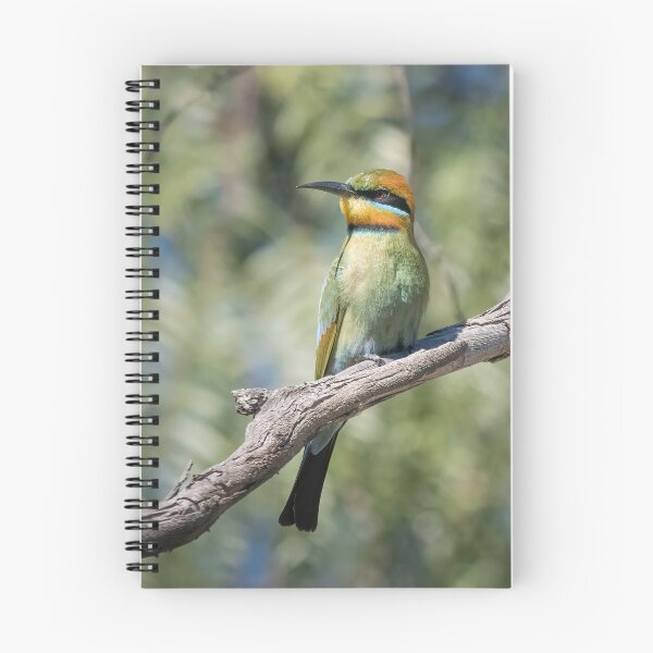 Item preview, Rainbow Bee-eater designed and sold by iansmissenphoto.