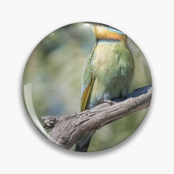Item preview, Rainbow Bee-eater designed and sold by iansmissenphoto.