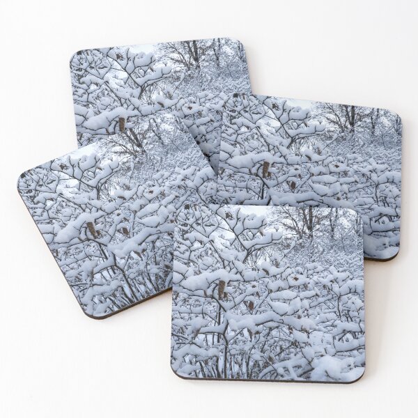 Item preview, Central Park blanketed in fresh snow designed and sold by Southern Cross Lifestyle .