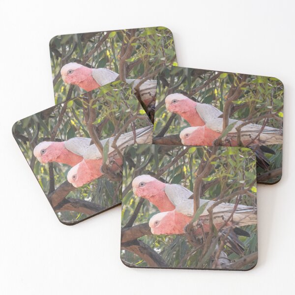 Item preview, Galahs designed and sold by iansmissenphoto.