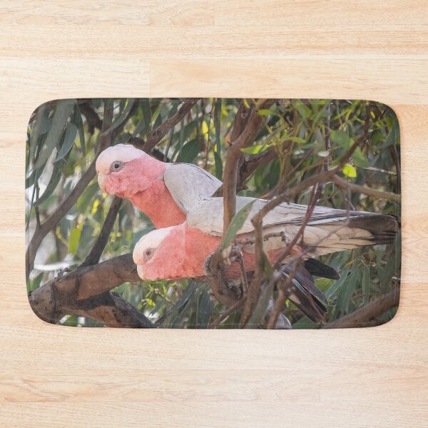 Item preview, Galahs designed and sold by iansmissenphoto.