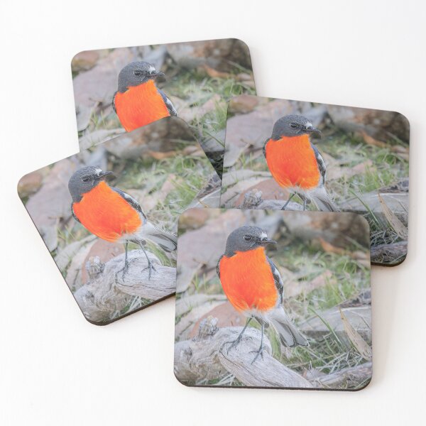 Item preview, Flame Robin designed and sold by iansmissenphoto.