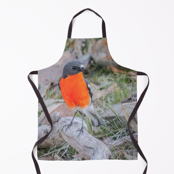 Item preview, Flame Robin designed and sold by iansmissenphoto.