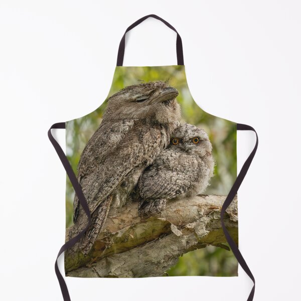 Item preview, Tawny Frogmouth parent and chick designed and sold by iansmissenphoto.
