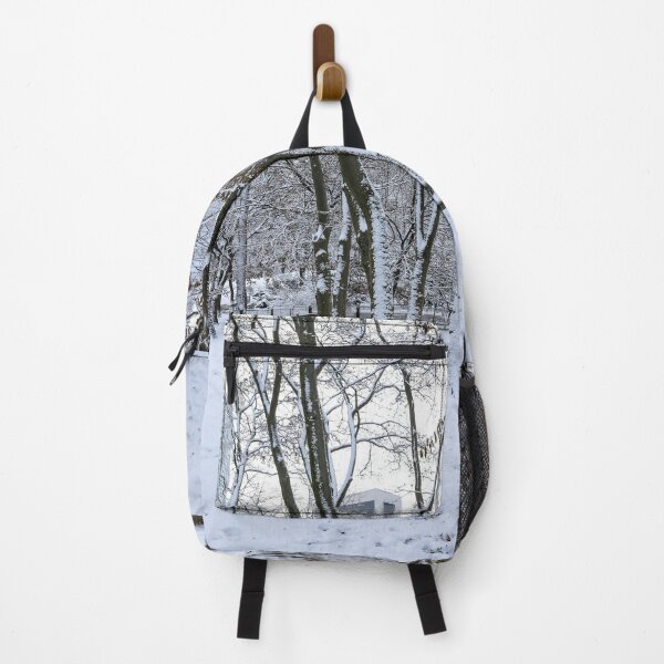 Artikelvorschau, Winterfoto des schneebedeckten Central Parks entworfen und verkauft von Southern Cross Lifestyle .