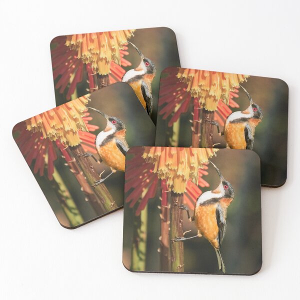 Item preview, Eastern Spinebill designed and sold by iansmissenphoto.