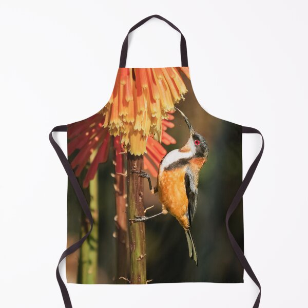 Item preview, Eastern Spinebill designed and sold by iansmissenphoto.