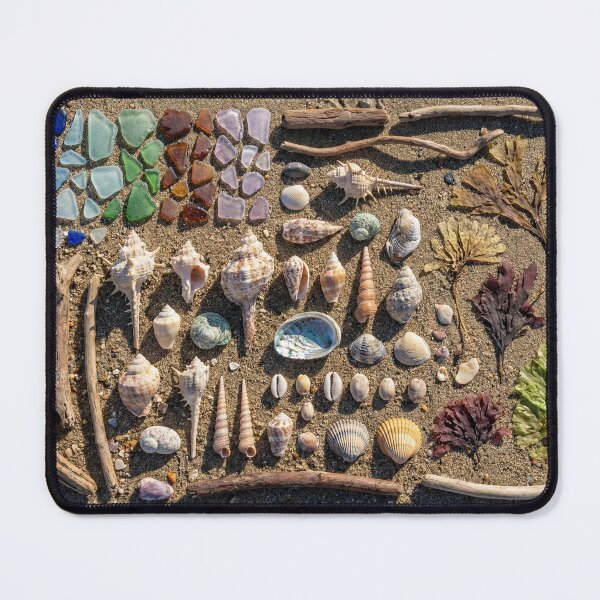 Item preview, Beachcomber's Treasure - Sea Glass & Shell Knolling Gradient designed and sold by SavinMercantile.